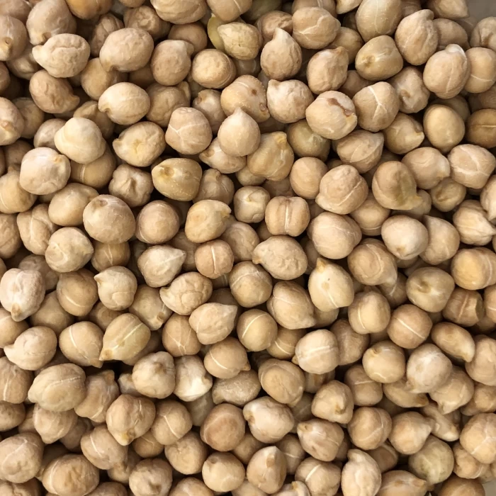 Garbanzo pequeño de la Alta Segarra eco 100g